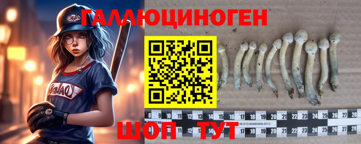 Галлюциногенные грибы прущие грибы Щёлково